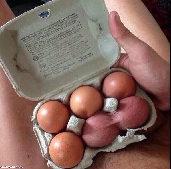 تخم مرغ میل دارید یا ...؟