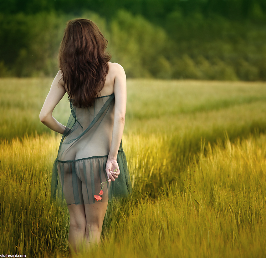 دختری در مزرعه
